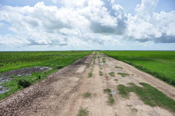 Estrada que corta o Hato El Cedral, na região dos llanos venezuelanos, perto da cidade de Mantecal